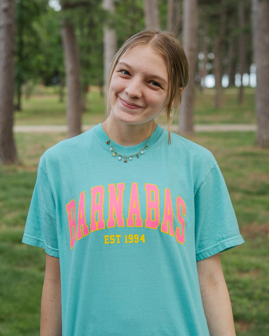 Mint Collegiate