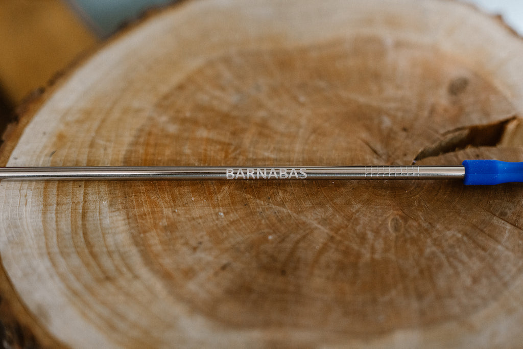 Barnabas Metal Straw